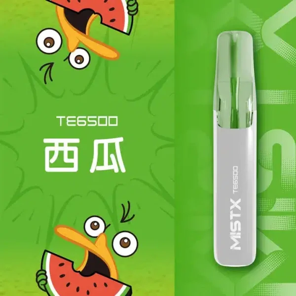 鴨嘴獸一次性電子煙-MISTX TE6500-16mL大容量台灣現貨 西瓜